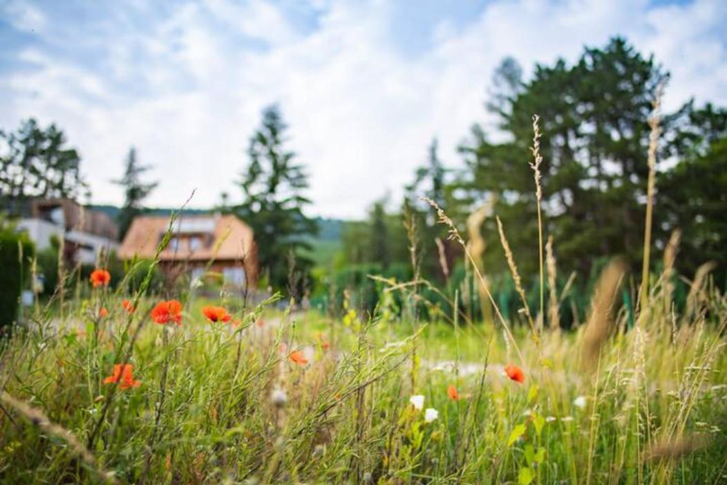 Le Holzberg Et Ses Suites Osenbach Exteriér fotografie