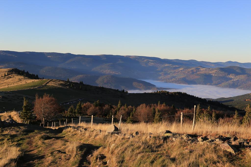 Le Holzberg Et Ses Suites Osenbach Exteriér fotografie