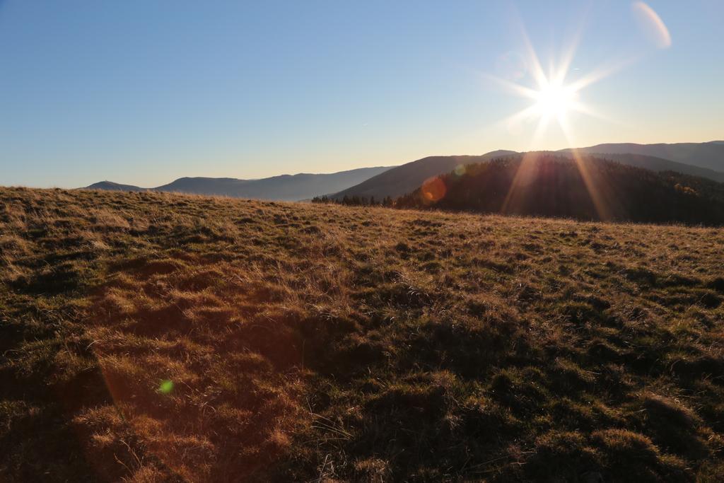 Le Holzberg Et Ses Suites Osenbach Exteriér fotografie