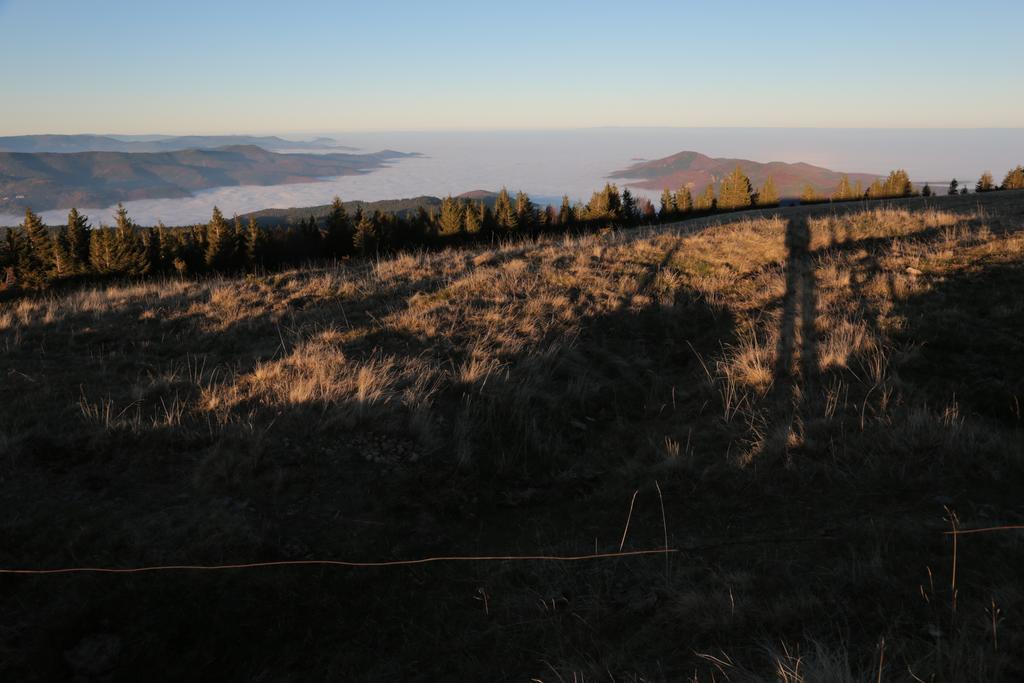 Le Holzberg Et Ses Suites Osenbach Exteriér fotografie