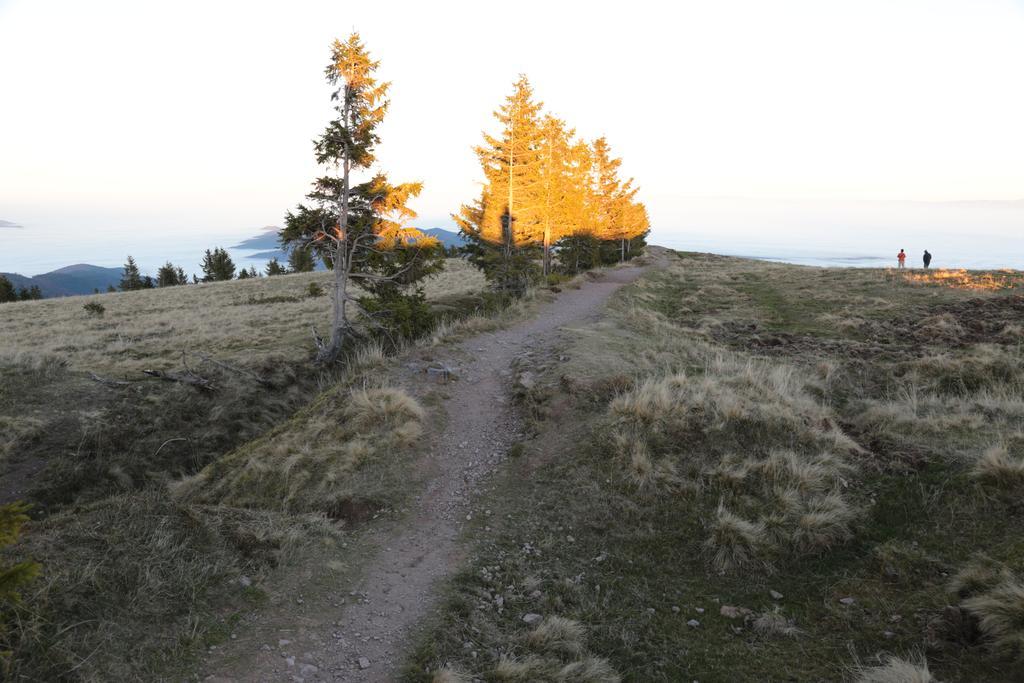 Le Holzberg Et Ses Suites Osenbach Exteriér fotografie