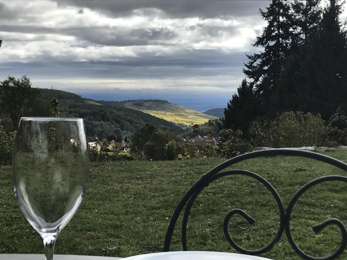 Le Holzberg Et Ses Suites Osenbach Exteriér fotografie